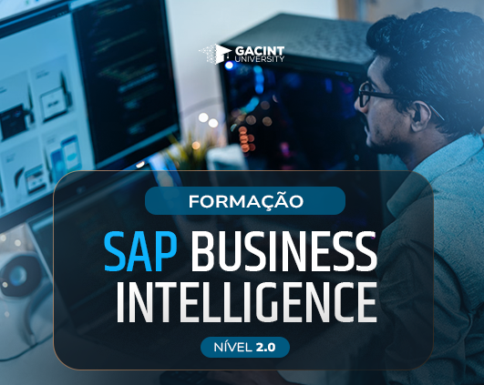 SAP BUSINESS INTELLIGENCE 2.0