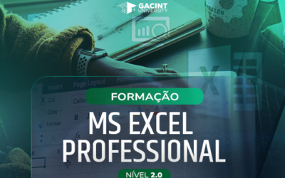 MS EXCEL PROFESSIONAL 2.0